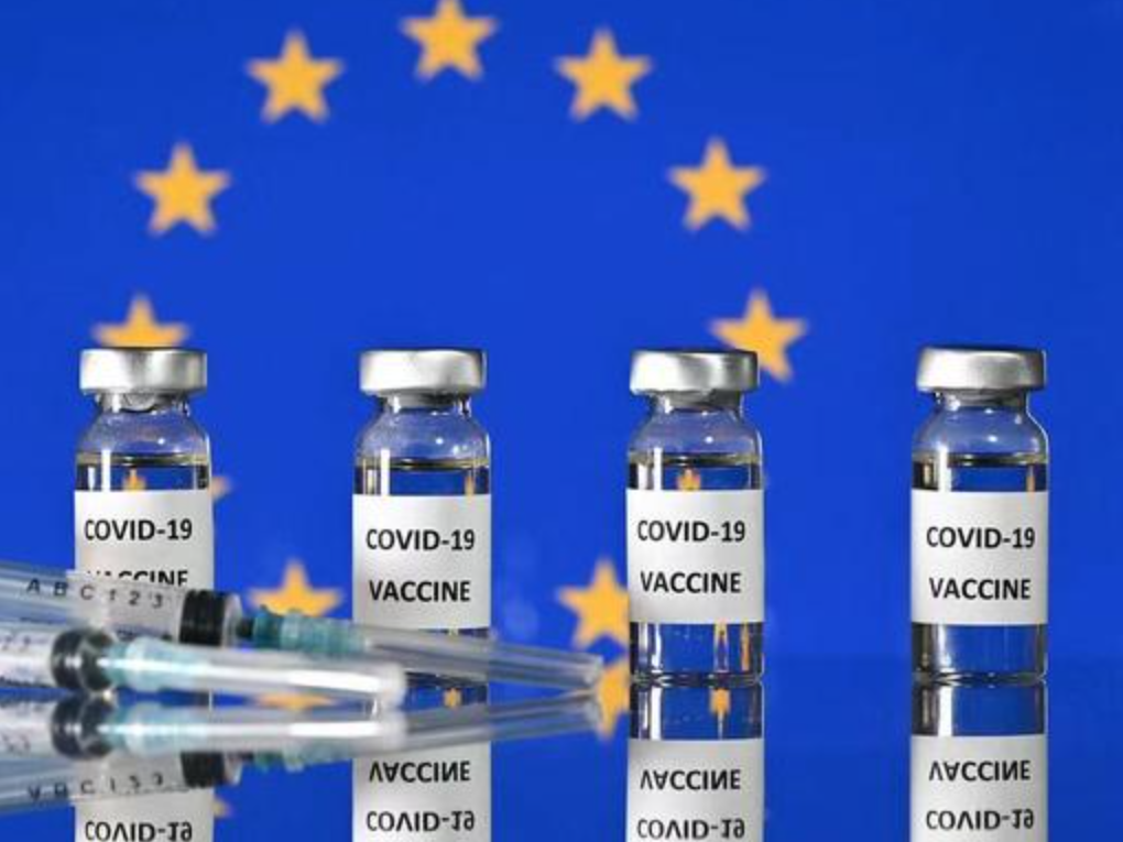 欧盟成员国将同日启动新冠疫苗接种 法国预计年底开始 