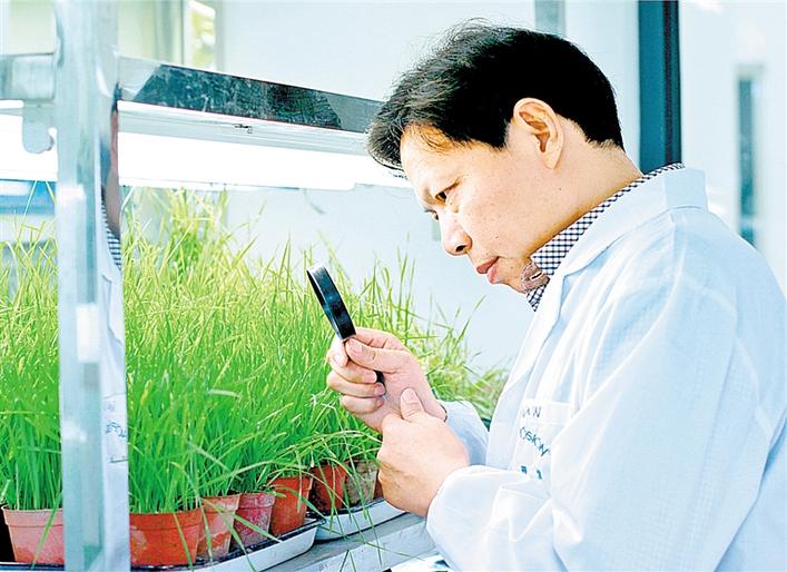 2020年广东省劳动模范曹明章：农药博士自觉立身世界前沿