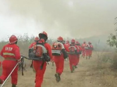 深圳市开展2020年森林火灾应急演练