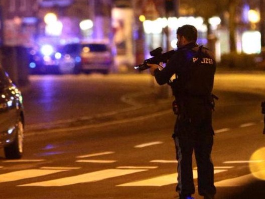 维也纳恐袭本可避免？调查：情报机构错过数次预警