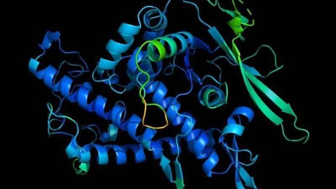 攻克生物学难题，“阿尔法折叠”精准预测蛋白质三维结构