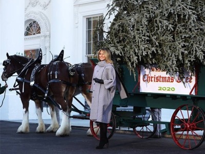 美国白宫计划于圣诞假期举办至多20场室内聚会