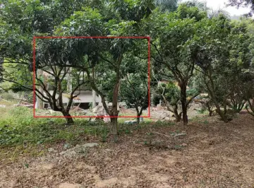 坪山区规划土地监察局： 坚守生态控制线 守护美丽新城区