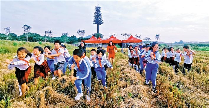 “稻米之路”实践课受热捧，已吸引全市近300个中小学亲子家庭参与