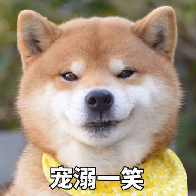 汪汪~咩咩~咕咕~太治愈了！ 