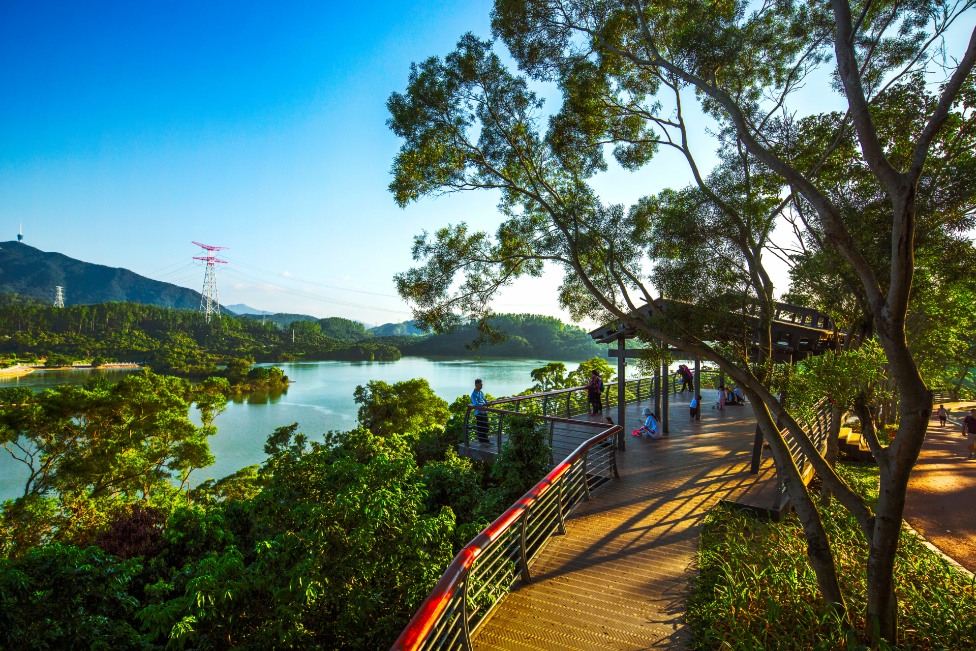 全市唯一罗湖获中国最美生态宜居绿水青山生态双名城称号