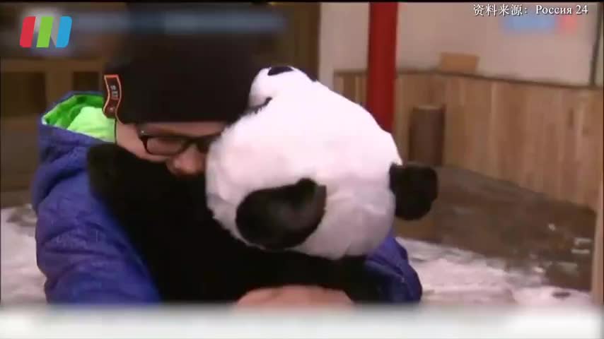 如意见到“如意”啦！那个向普京许愿见熊猫的男孩被安排了