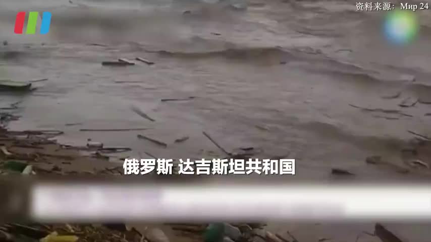 俄罗斯大量海豹不明原因死亡 ，或因里海水体污染