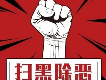 深圳检察机关打建结合，预防和遏制黑恶势力犯罪滋生蔓延