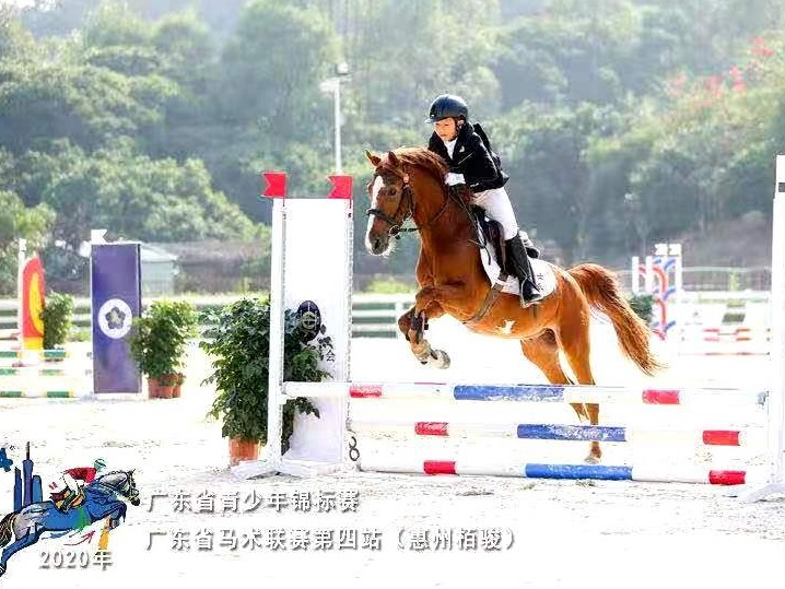 鹅城马术盛会 深圳健儿夺佳绩