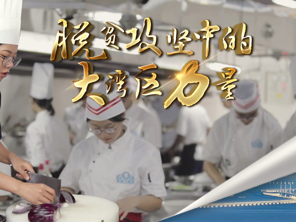 脱贫攻坚 | 技艺组合拳 能动天下 劲！