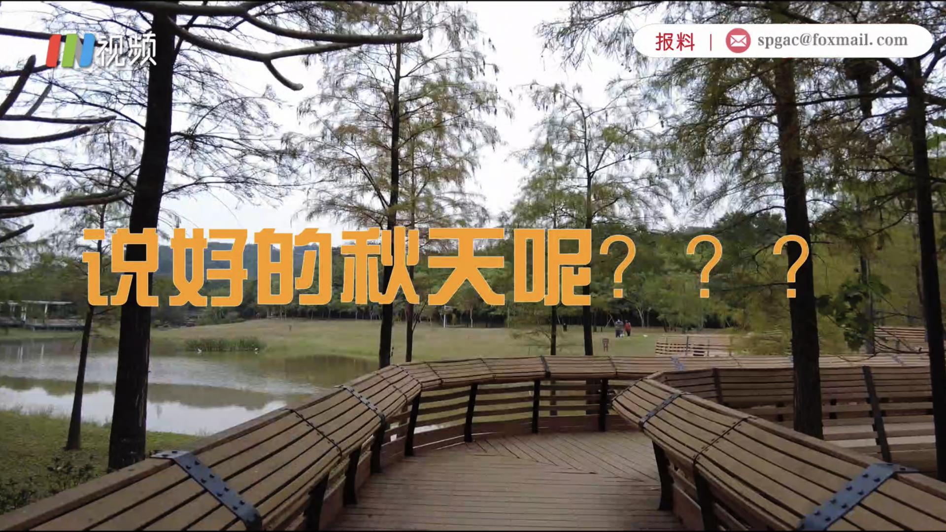 打卡藏着深圳秋天的网红地 我被“网红”骗了