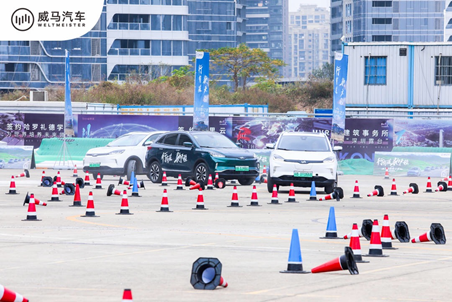 威马汽车318巅峰之旅挑战赛在深举行
