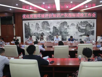 深圳法治政府建设巡礼13：法护创新，建最严知识产权保护体系