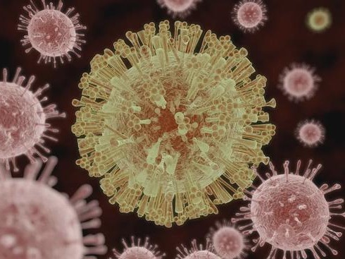 世卫组织：暂无证据表明变异的新冠病毒对死亡率产生不良影响 