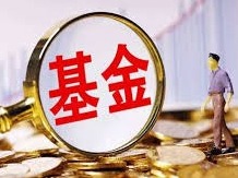 深耕优质细分行业赛道，鹏华王宗合今年5只基金净值增长率超60%