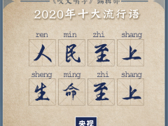 2020年十大流行语揭晓！你知道几个？
