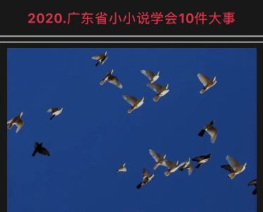 2020年广东省小小说学会10件大事发布