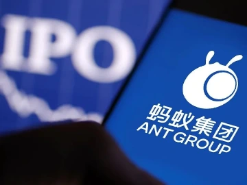阵痛下的成长：以新规范新姿态拥抱未来