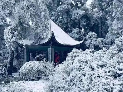 “冻”真格！今冬首场寒潮来袭 全国多地迎初雪
