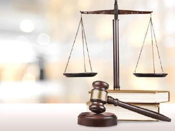 抓住类案小切口 打造快审新模式，盐田法院深入推进行政案件繁简分流改革