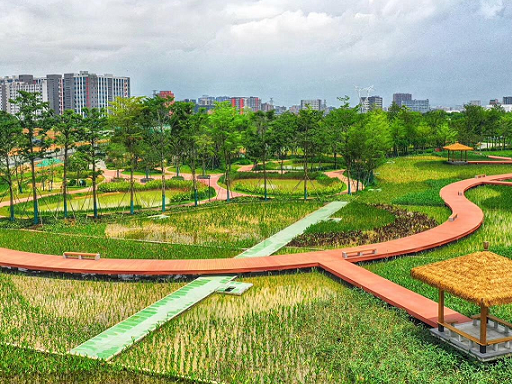 光明建筑工务署奋力“开山”，筑宜居宜业宜游光明 治水3年建成29项重大水务工程