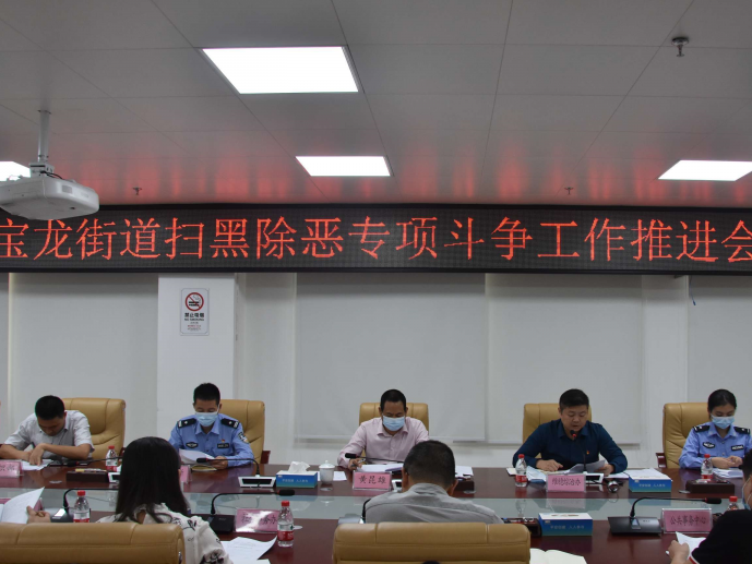 宝龙 | 宣传全覆盖！营造扫黑除恶人人参与良好氛围