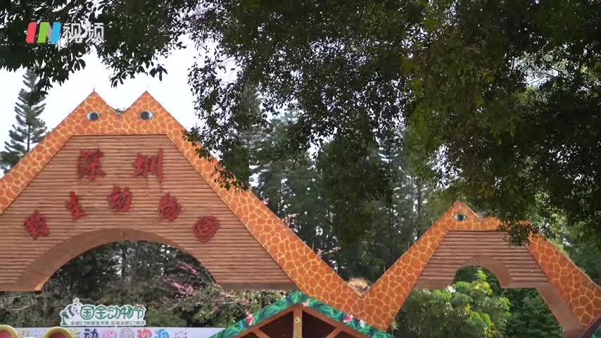 鳄鱼用上电热板 动物园保暖空调稻草齐上阵