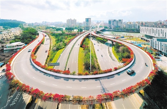 东华大桥建成通车后，成为蓬江、江海两区一条新的交通要道。郭永乐 摄