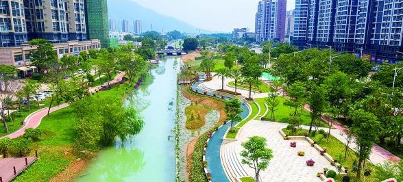经过治理后的羚山涌，景美水净。