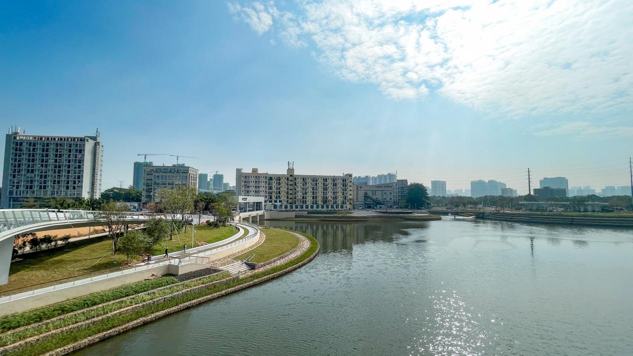 蝶变沙井蚝乡湖公园，曾经的污水湖如何变成“网红打卡地”？