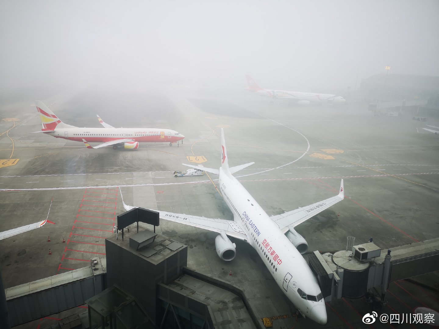 受大雾影响，成都双流机场出现今年入冬来首次大面积航班延误