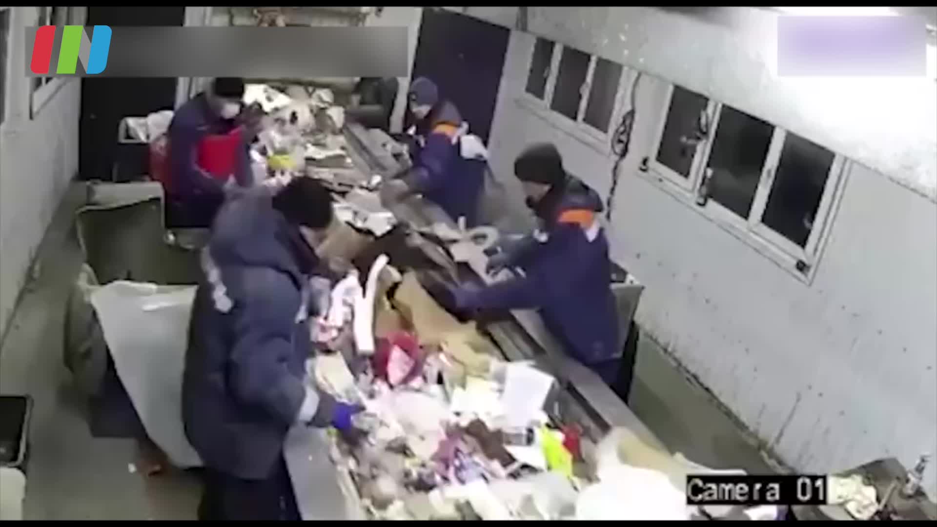 宠物小猫被人为塞进垃圾袋遗弃，送进垃圾分类器前一秒被救出