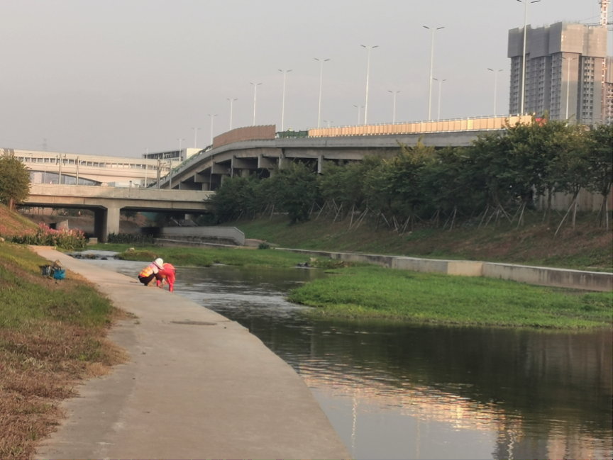 凤凰街道推进河道管理，精细化守护“一方清水”