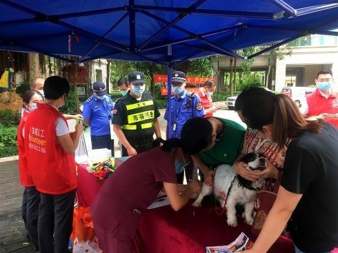 龙城街道荣获市最美文明养犬城中村、物业小区称号