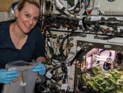 国际空间站首次收获20根新鲜萝卜，冷藏至明年送回地球