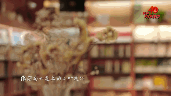 为你读诗 | 全国最早的“书城”，深圳人都爱去“打卡”！