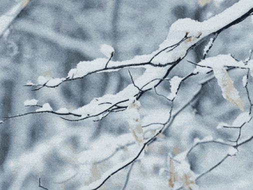 河南气象部门回应“雪是假的”：人工增雪，品质和自然雪一样