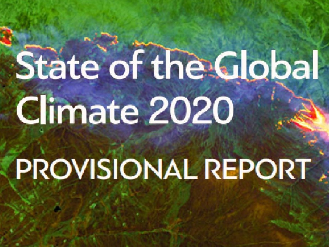 世界气象组织：2020年将成为有记录以来最暖年份之一