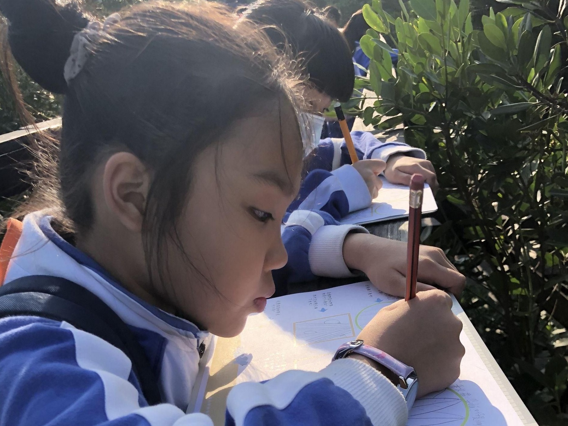 孩子看科普学知识乐开怀 景鹏小学开展红树林科普活动