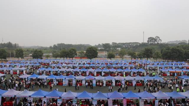 儿科、麻醉等专业需求量大！这场招聘会提供2.3万逾岗位