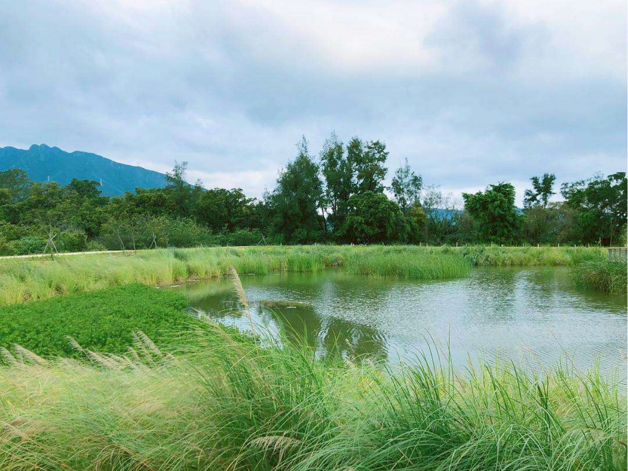 坝光水生态公园位于大鹏新区葵涌办事处,北靠大坑槽水,东临华科路,南