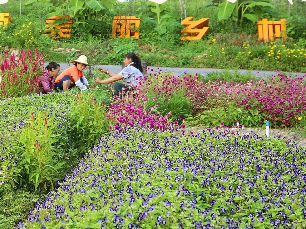 我的“意中人”是......