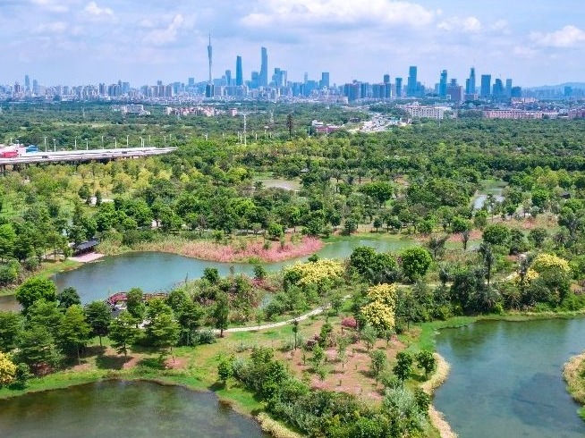 广州海珠湿地保护开启新征程，发布湿地宣言共建实验室