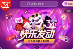 国美双平台加速运转，产品服务两开花
