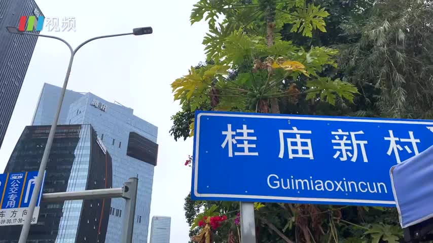再见！我们的桂庙时代