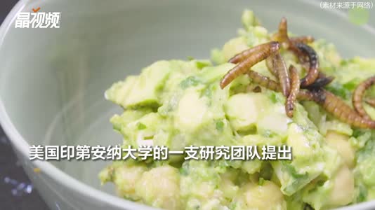 粮食短缺了，肉乎乎的虫子不香吗？科学家已为人类找到了好品种11