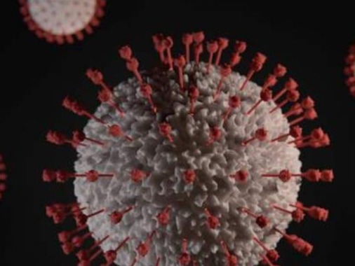 世卫组织：多国已出现感染新冠病毒变体的病例