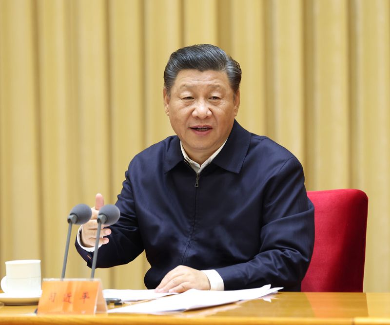 依宪治国、依宪执政，习近平法治思想领航中国 