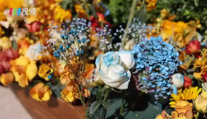 深圳新年鲜花快闪 花街装点2020最后一天